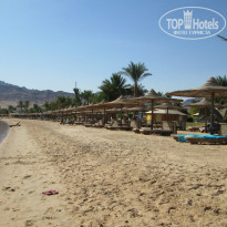 фото из отзыва ID 783801