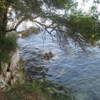 фото из отзыва ID 783832