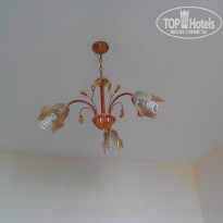 фото из отзыва ID 783863