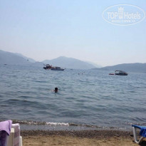 фото из отзыва ID 783056