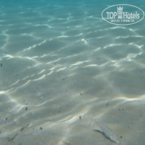 фото из отзыва ID 784314