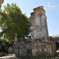 фото из отзыва ID 784779