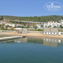 фото из отзыва ID 784779