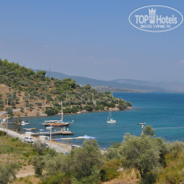 фото из отзыва ID 784779