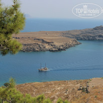 фото из отзыва ID 784881