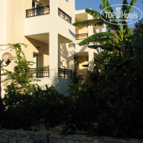 фото из отзыва ID 784053