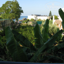 фото из отзыва ID 784053