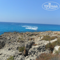 фото из отзыва ID 784702