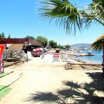 фото из отзыва ID 785072