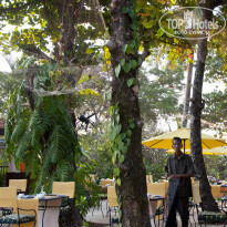 фото из отзыва ID 785081