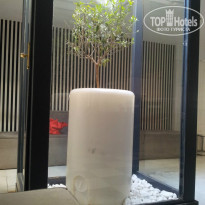 фото из отзыва ID 785114