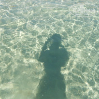 фото из отзыва ID 785310