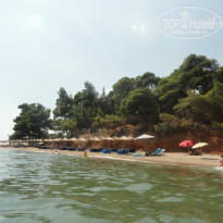 фото из отзыва ID 785447