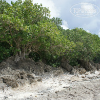 фото из отзыва ID 785521