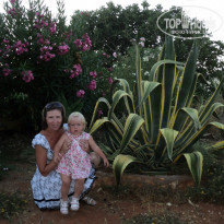 фото из отзыва ID 785790