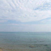 фото из отзыва ID 785804