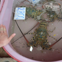 фото из отзыва ID 785943