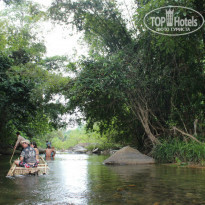 фото из отзыва ID 785943