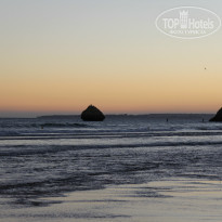 фото из отзыва ID 785389