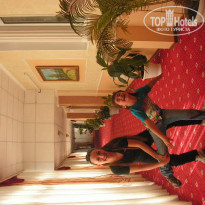 фото из отзыва ID 786084