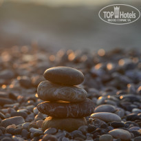 фото из отзыва ID 786094