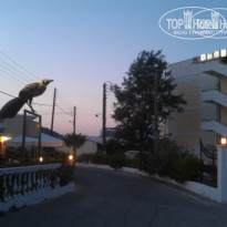 фото из отзыва ID 786137