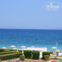 фото из отзыва ID 786150