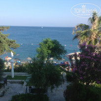 фото из отзыва ID 786314