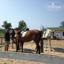 фото из отзыва ID 786361