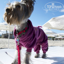 фото из отзыва ID 786361