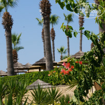 фото из отзыва ID 786465