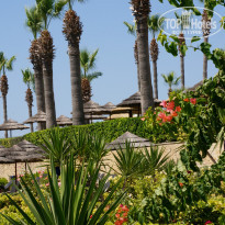 фото из отзыва ID 786465