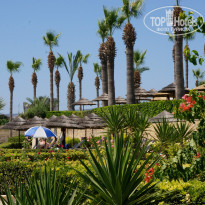 фото из отзыва ID 786465