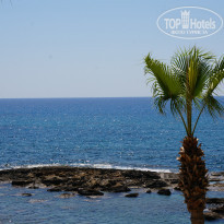 фото из отзыва ID 786465