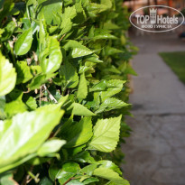 фото из отзыва ID 786465