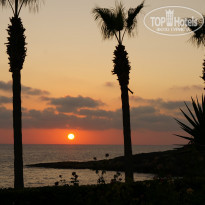 фото из отзыва ID 786465