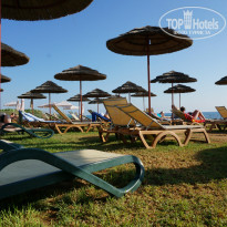 фото из отзыва ID 786465