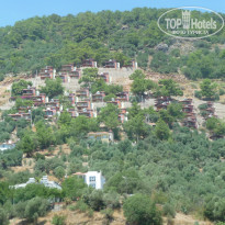 фото из отзыва ID 786573