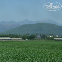 фото из отзыва ID 786573