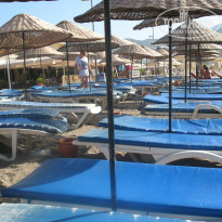 фото из отзыва ID 786862