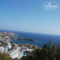 фото из отзыва ID 786872