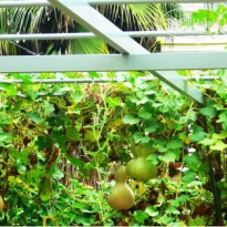 фото из отзыва ID 786694