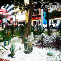 фото из отзыва ID 786694