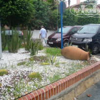 фото из отзыва ID 786694