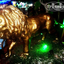 фото из отзыва ID 786694