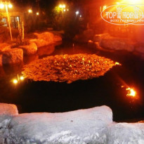 фото из отзыва ID 786694