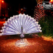 фото из отзыва ID 786694