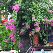 фото из отзыва ID 786694