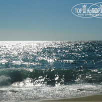 фото из отзыва ID 786694