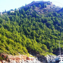 фото из отзыва ID 786694